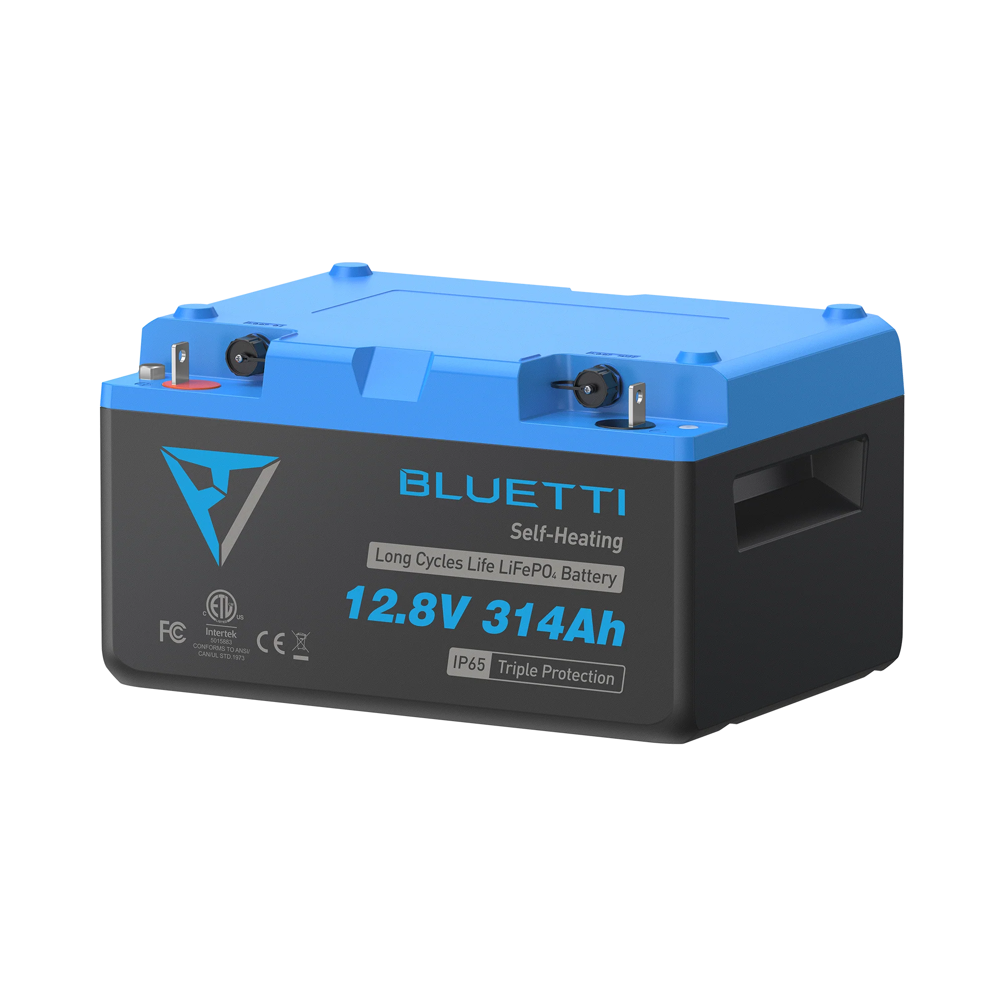 B1232 LiFePO₄ Batterie | 12,8 V, 314 Ah (Nur Für Deutschland) - Image 8